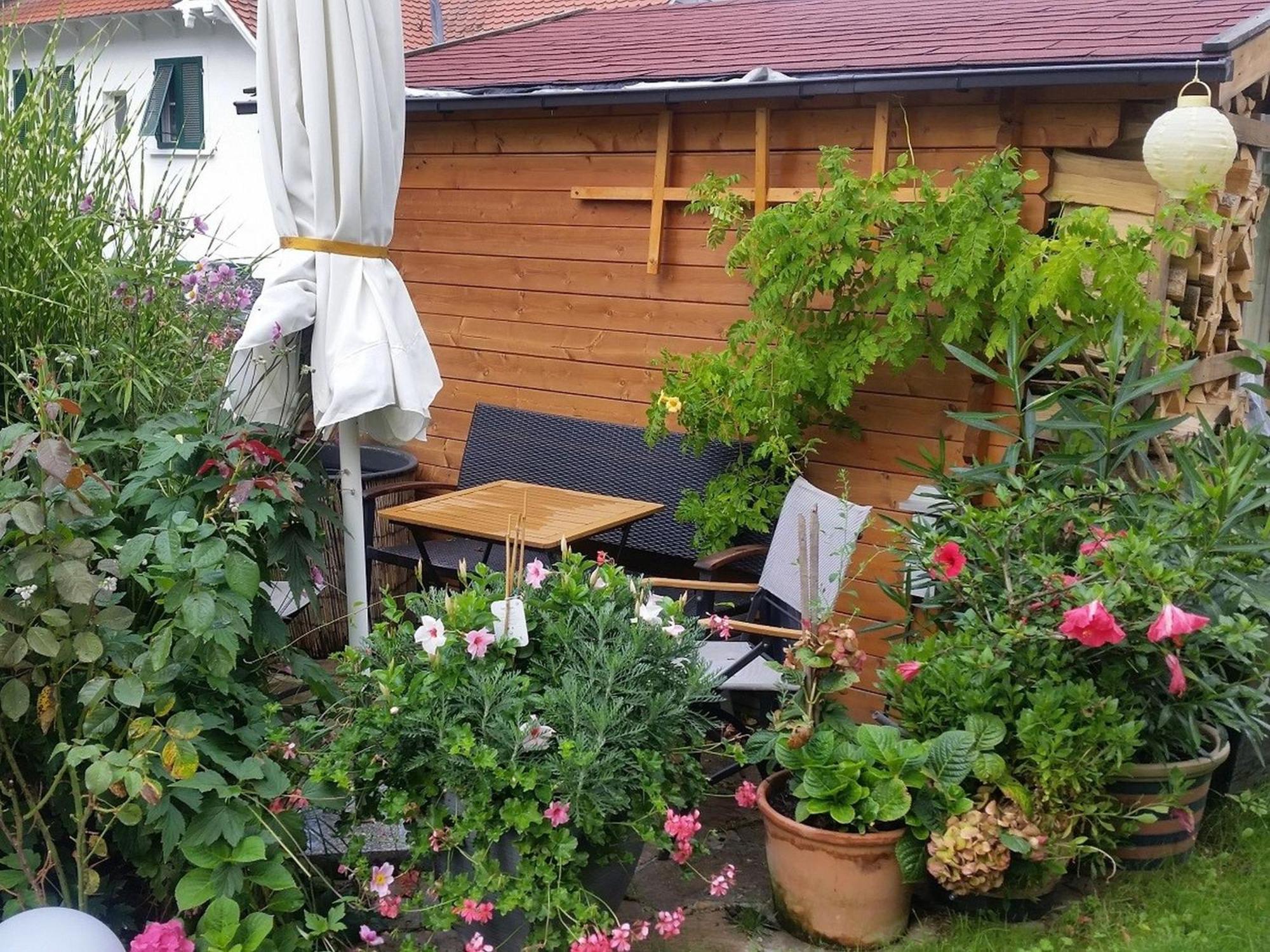 Ferienwohnung Am Berg, 35Qm Rickenbach  Exterior photo